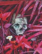 RICHARD MOSSE (NÉ EN 1980)