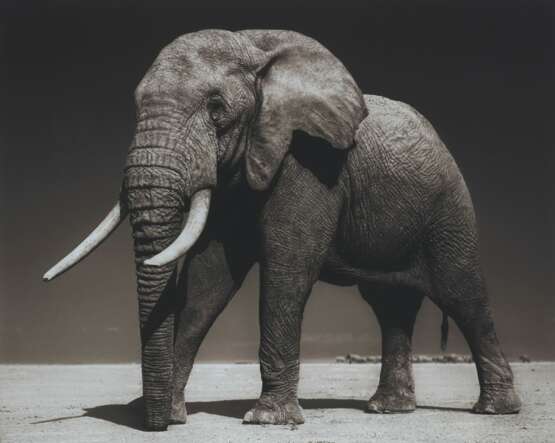 NICK BRANDT (N&#201; EN 1964) - Foto 1