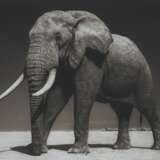 NICK BRANDT (N&#201; EN 1964) - Foto 1