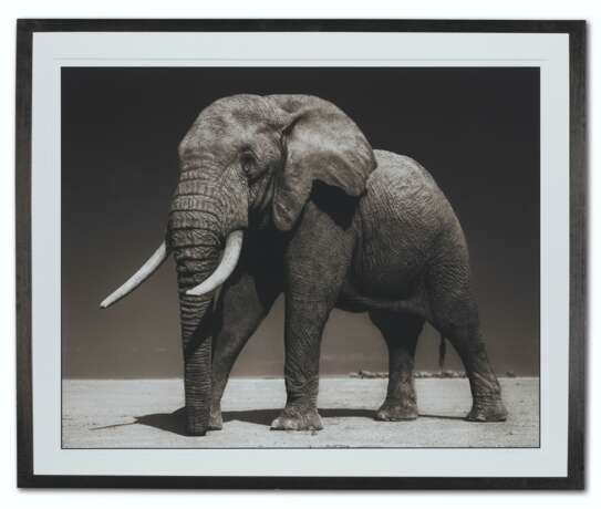 NICK BRANDT (N&#201; EN 1964) - Foto 2