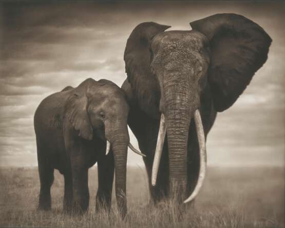 NICK BRANDT (N&#201; EN 1964) - Foto 1