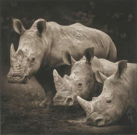 NICK BRANDT (N&#201; EN 1964) - Foto 1