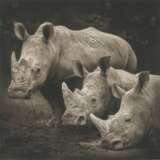 NICK BRANDT (N&#201; EN 1964) - Foto 1