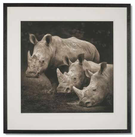 NICK BRANDT (N&#201; EN 1964) - Foto 2