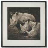 NICK BRANDT (N&#201; EN 1964) - Foto 2