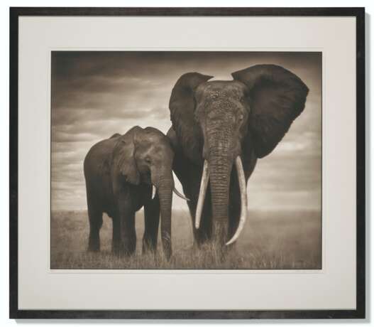 NICK BRANDT (N&#201; EN 1964) - Foto 2