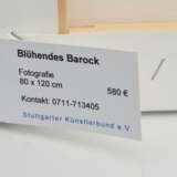 GÜNTHER BURKHARDT,"Blühendes Barock", Fotodruck auf Leinwand, 21. limitiert, 21. Jahrhundert - фото 3