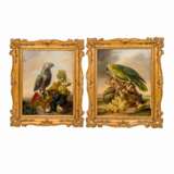 PETTER, FRANZ XAVER (Wien 1791-1866), Paar Papageienbilder als Pendants, - photo 1