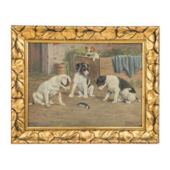 PODEYN, M. (Maler/in 19./20. Jahrhundert), "Drei Hundewelpen mit Maus und Katze",