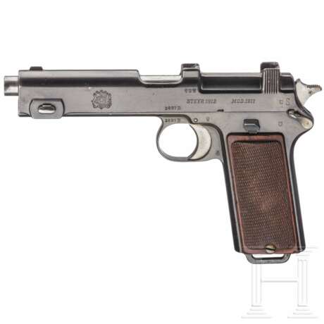 Steyr Modell 1911 - photo 1