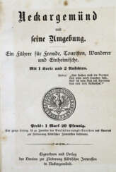 Neckargemünd und seine Umgebung.