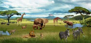 African landscape with animals. A lion.