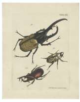 VOET, Johann Eusebius (1706-1778)