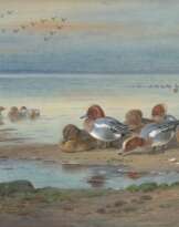 ARCHIBALD THORBURN (BRITISH 1860-1935)