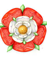 Роза Тюдоров (Tudor rose) Роза Тюдоров (Tudor rose)