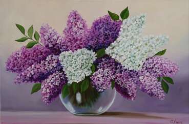 Flieder Blumen Flieder Blumen