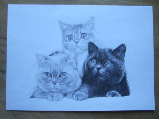 Painting “Life is not the same without a cat.”, Paper, Realist, Animalistic, Ukraine, 2021 - photo 2