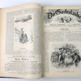 Die Gartenlaube 1897 - photo 1