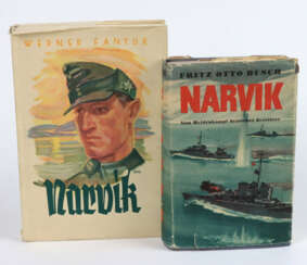 2x Narvik
