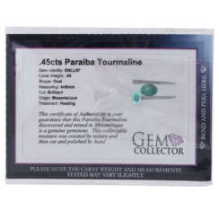 1 loser Paraiba Turmalin von 0,45 ct 