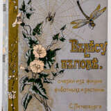 Buch über Pflanzen und Tiere mit vielen Abbildungen, St. Petersburg 1897 - Foto 1