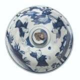 A CHINESE BLUE AND WHITE OVOID LARGE VASE AND COVER - Foto 7