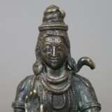 Mahayogi Shiva/ Daksina - фото 2