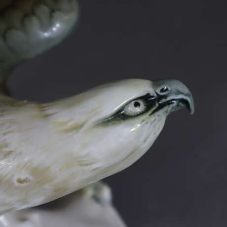 Weißkopfseeadler - Foto 6