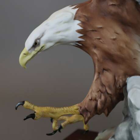 Der Weisskopfadler/ American Bald Eagle/ Haliaeetus leucocephalus - Foto 5