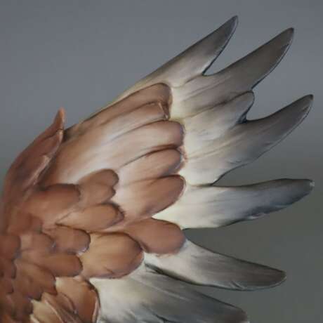 Der Weisskopfadler/ American Bald Eagle/ Haliaeetus leucocephalus - Foto 7