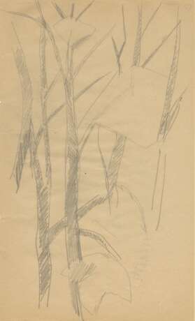 Попова, любовь (1889-1924) изучения деревьев , две работы, одна с карандашом изучению деревьев на обратной. - фото 2