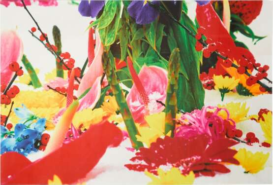 Marc Quinn - photo 3