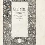 Statuti Lucensis civitatis statuta nuperrime castigata et quam accuratissime impressa - Foto 1