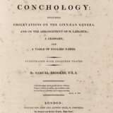 BROOKES, Samuel - An Introduction to the Study of Conchology - фото 4