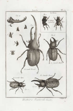 VVolume di tavole "Histoire Naturele, insectes" da: L'Encyclopedie - photo 1