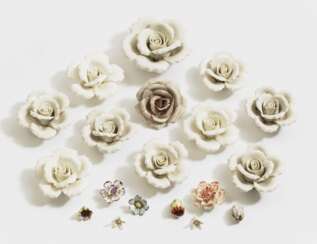 19 Porzellanblüten , 18. Jahrhundert - 20. Jahrhundert