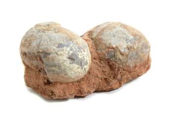 Ein Paar versteinerte Dinosaurier-Eier, China Kreidezeit