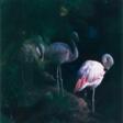 Flamingos - Auction archive