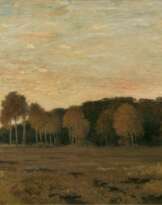 Abendstimmung im Moor