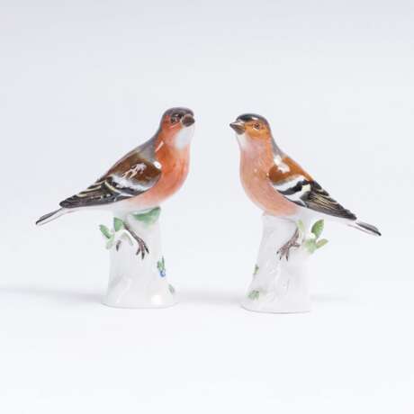 Johann Joachim Kaendler. Vogelpaar 'Zwei Buchfinken' - Foto 1