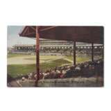 Collection of (33) Vintage Baseball Souvenir Postcards c.1910-50 - фото 16