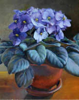 Фиалка Фиалка