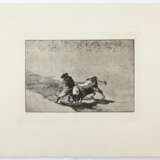 Goya, Francisco de - Foto 2