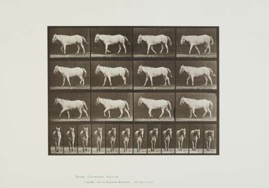 EADWEARD MUYBRIDGE (1830–1904) - photo 1