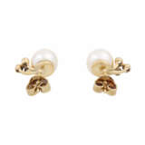 Ohrringe mit Perlen und kleinen Brillanten zusammen ca. 0,04 ct, - photo 4