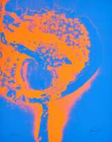 Mai (From: Feuerflora)