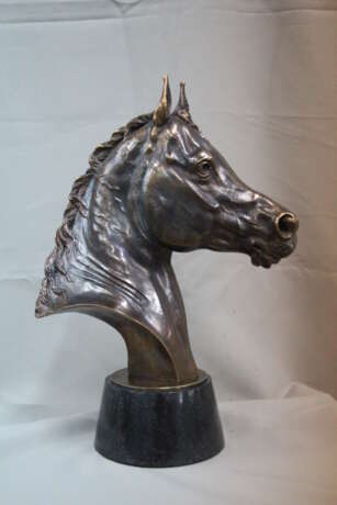 Голова арабской лошади 2014 - Foto 1