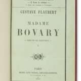 Shakespeare, William. Madame Bovary, extra-illustrated - фото 1