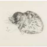Shakespeare, William. A Book of Cats being Twenty Drawings - photo 3