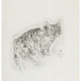 Shakespeare, William. A Book of Cats being Twenty Drawings - photo 4